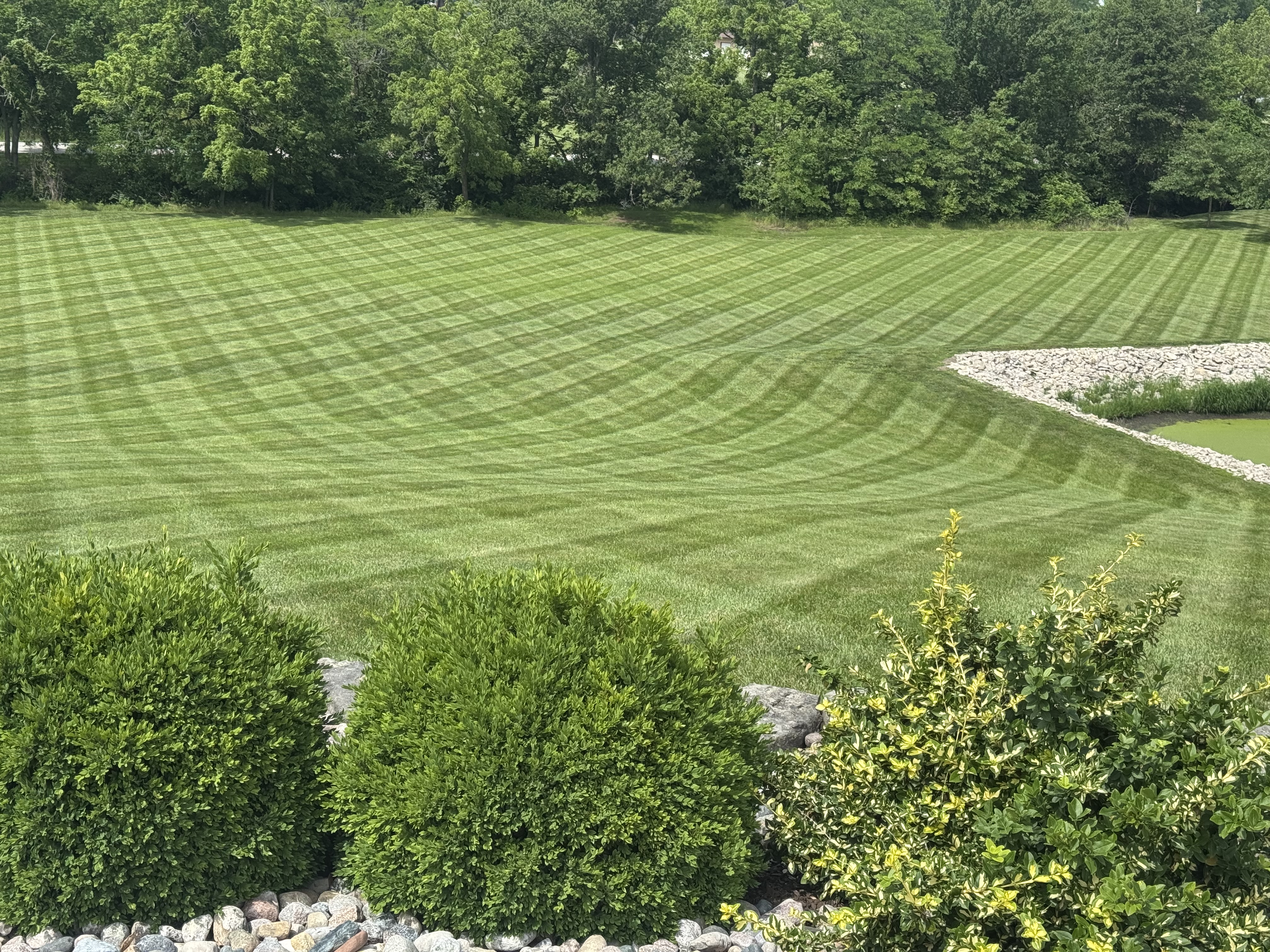 Landscaping and lawn maintenance
