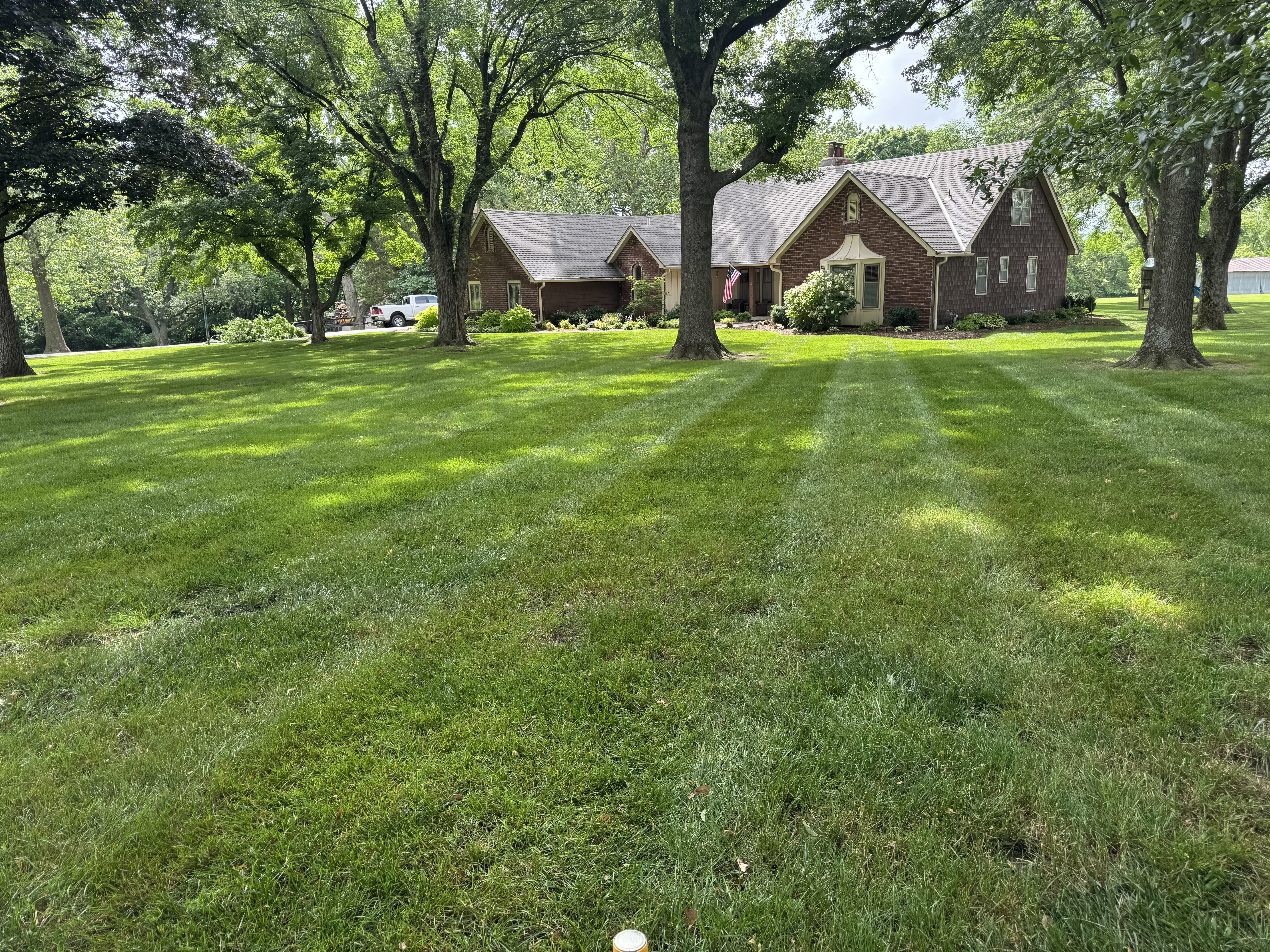 Lawn mowing and trimming service