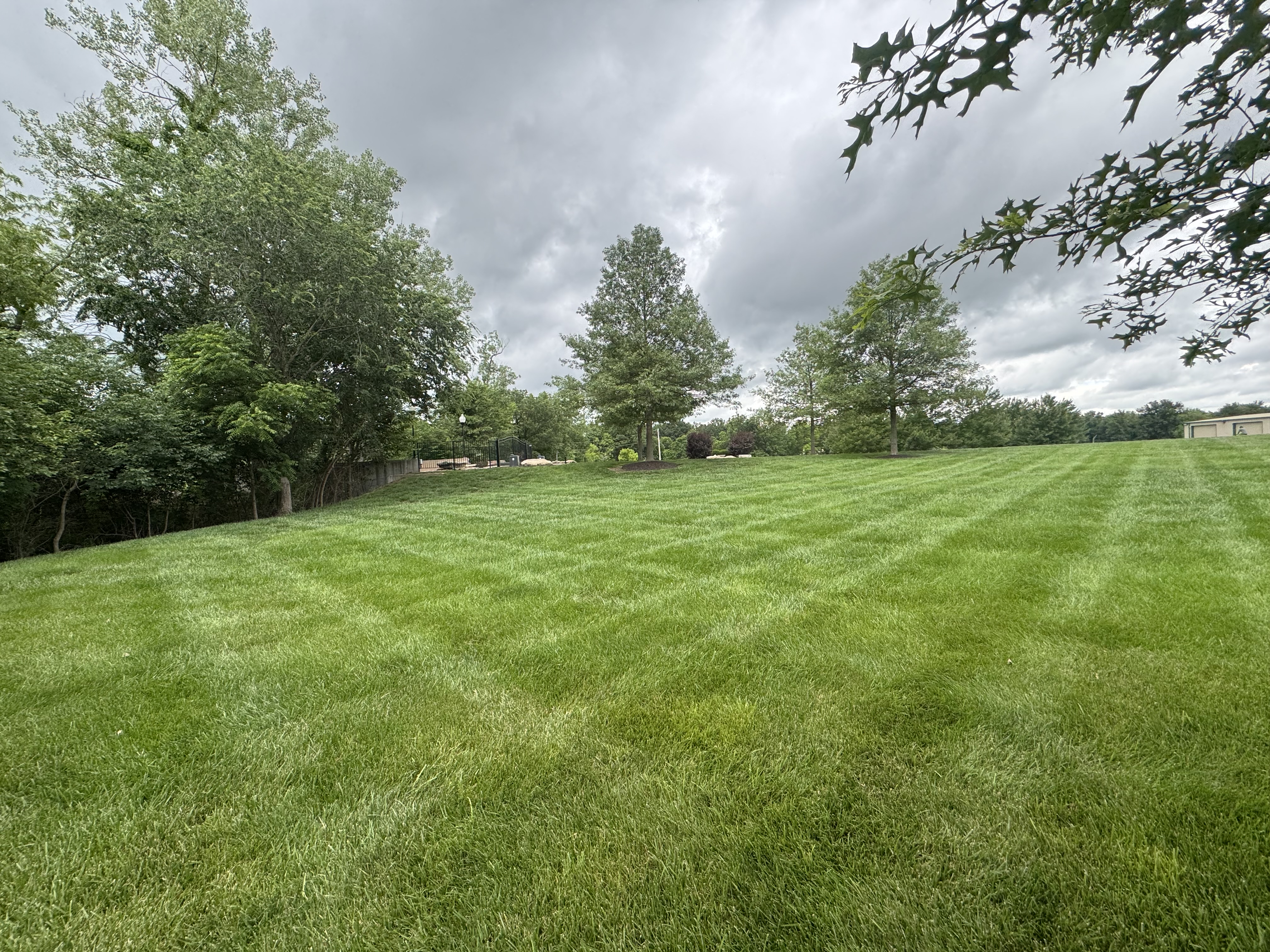 Residential lawn maintenance