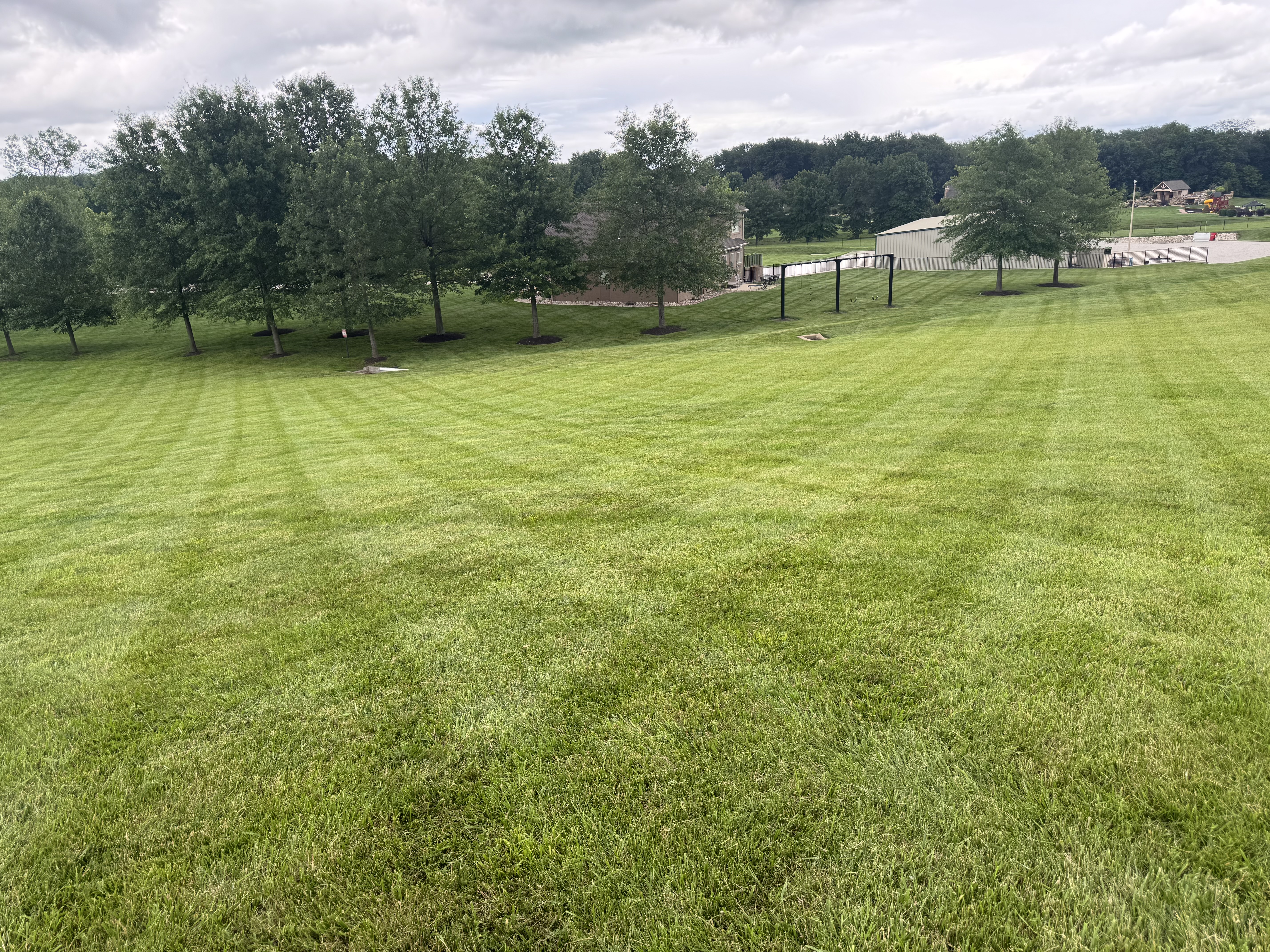 Lawn care and maintenance