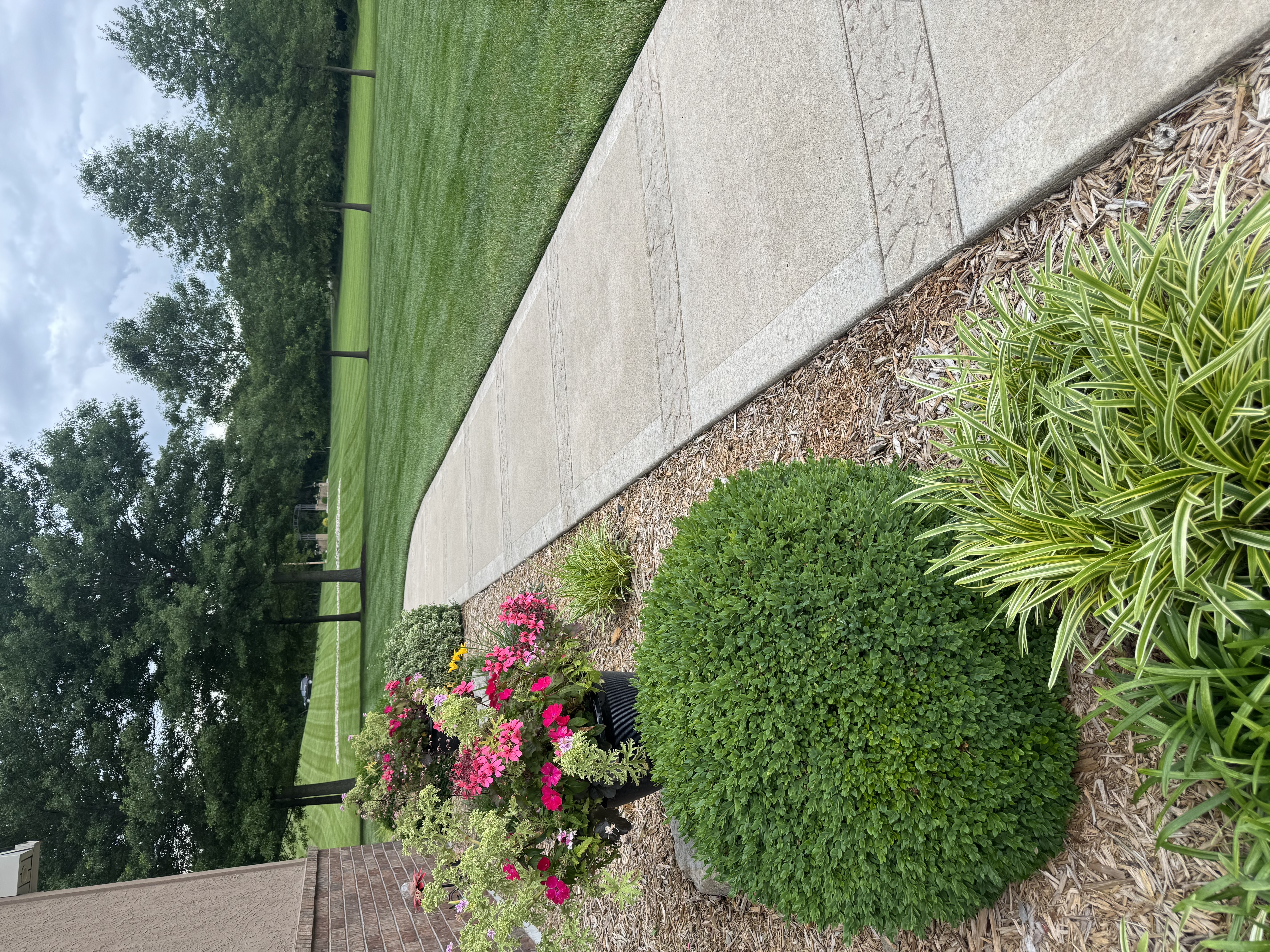 Lawn mowing service project