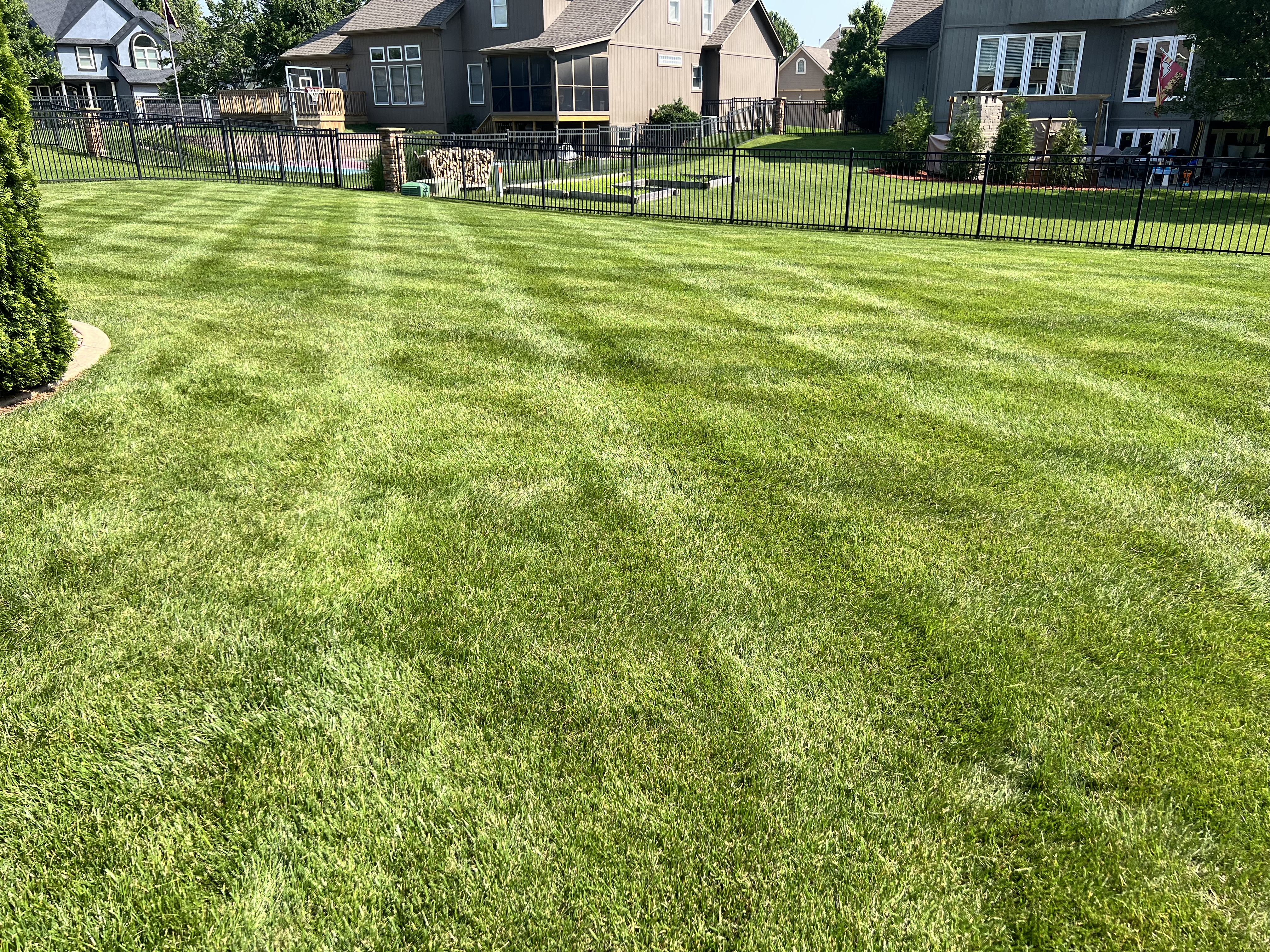 Professional lawn care project